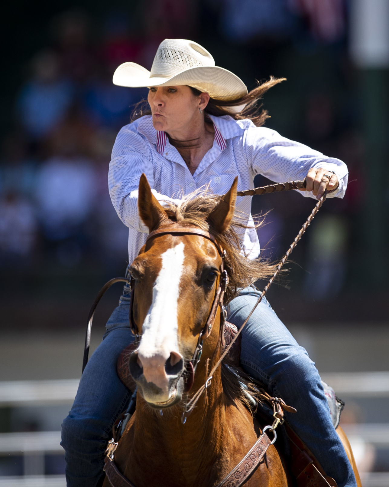 Rodeo Roundup